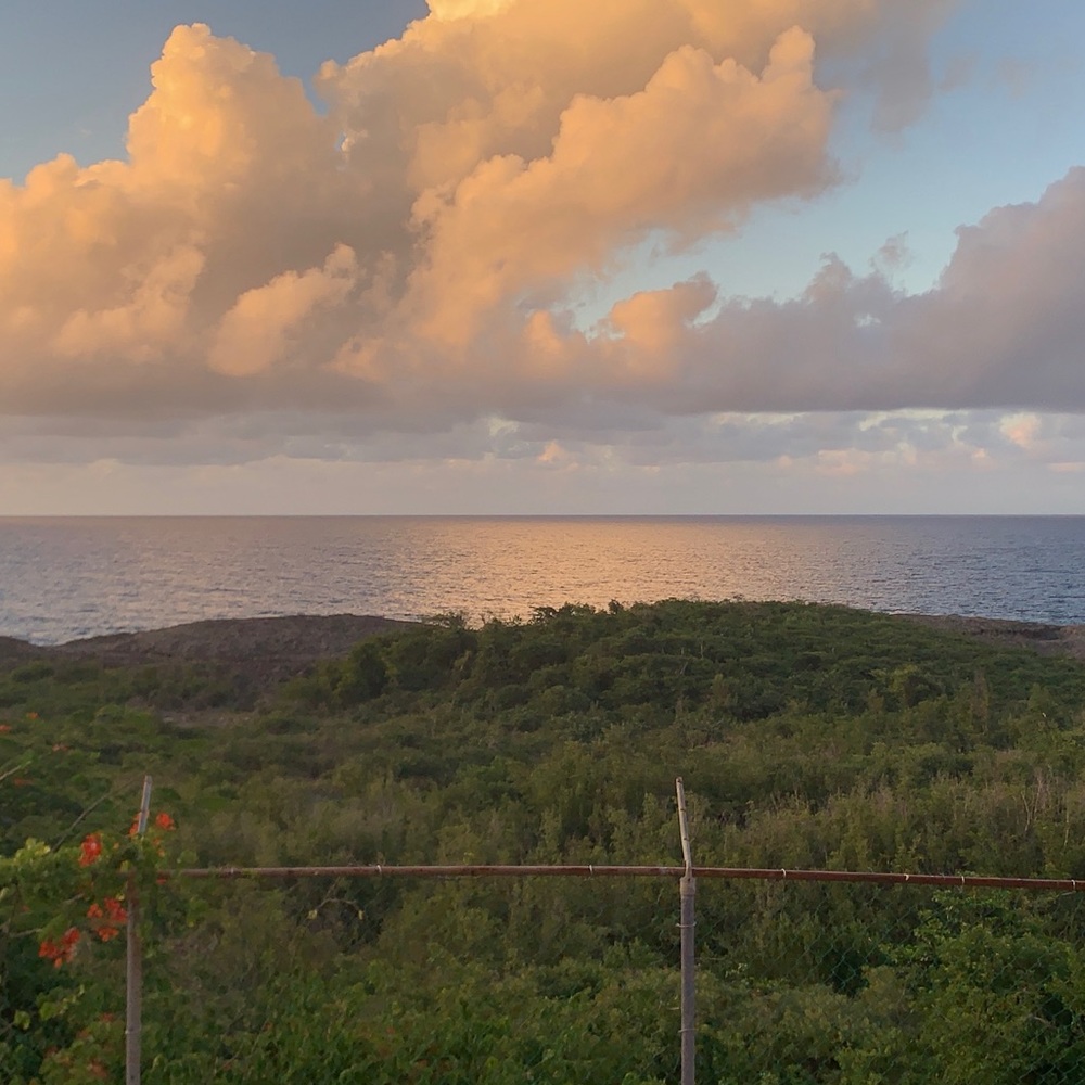 Meet your Posher, Natalia